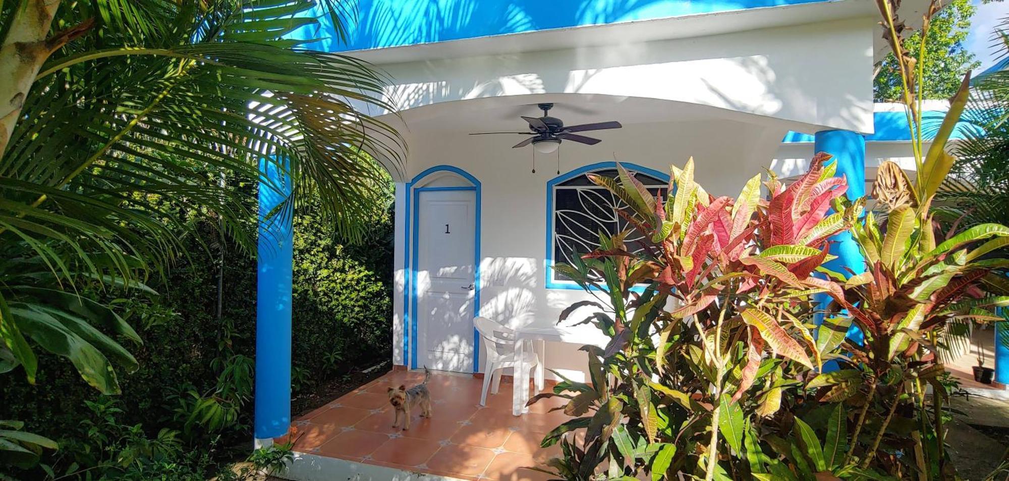 Chambre Bungalow2 Las Terrenas Esterno foto