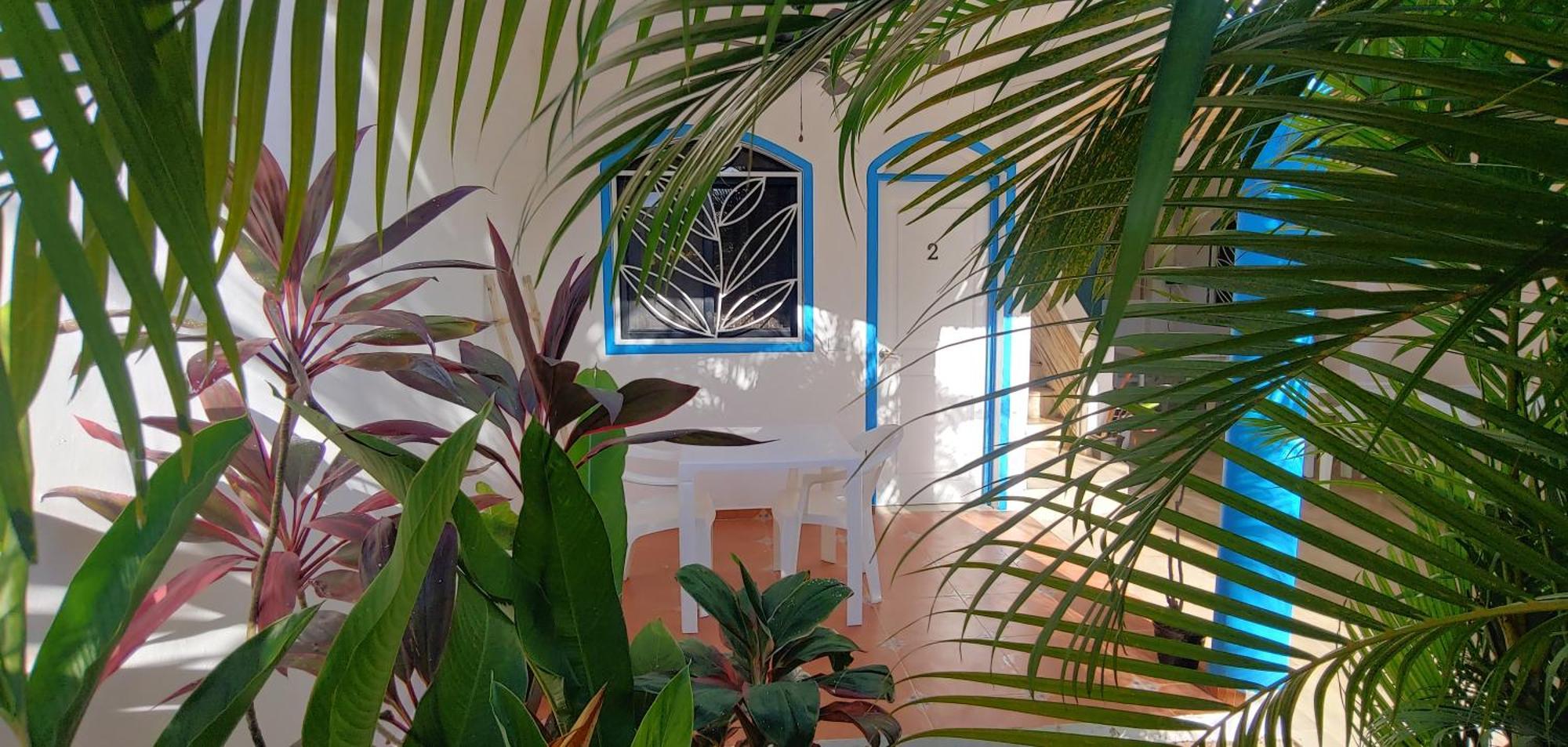 Chambre Bungalow2 Las Terrenas Esterno foto